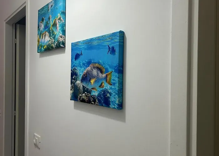Sea&sun House * Маринелла-ди-Сарцана